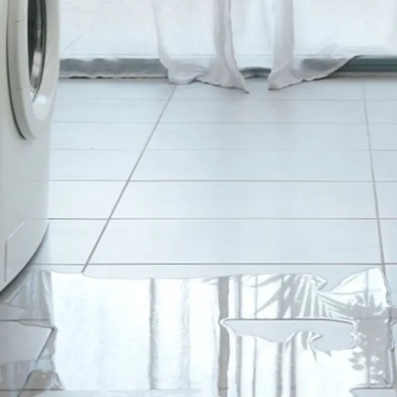 Appliance Leak Cleanup in Champaign County, IL