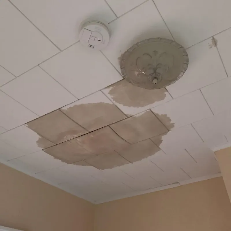 Ceiling Water Damage Repair in Champaign County, IL