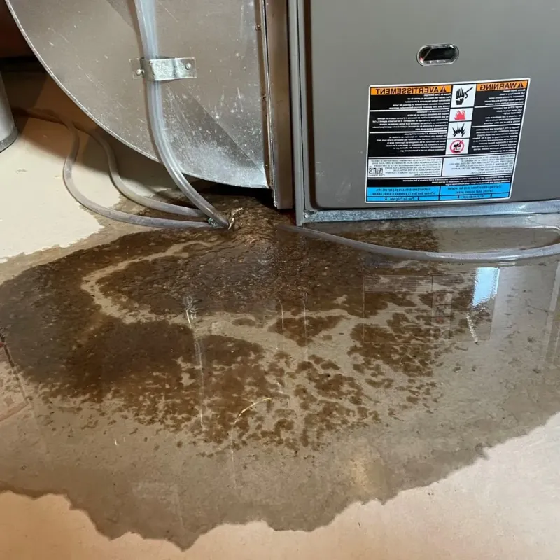 Pipe Burst and Leak Restoration in Champaign County, IL