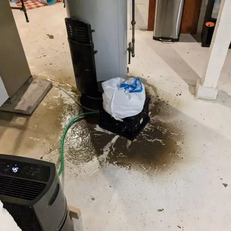 Sewage Backup Cleanup Service in Champaign County, IL